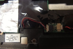 The connector for speakers